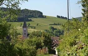 Vente Nuits-Saint-Georges