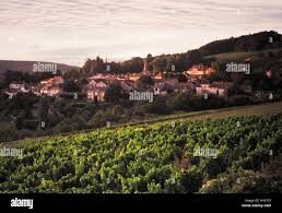 Vente Nuits-Saint-Georges