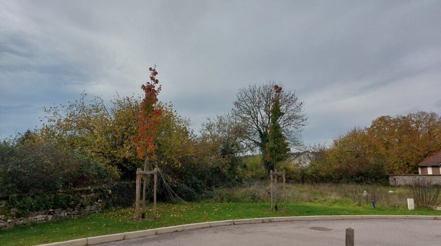 Vente Fleurey-sur-Ouche