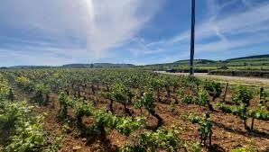 Vente Pagny-le-Château