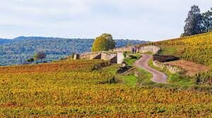 Vente Beaune